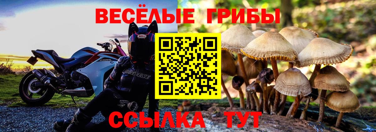 Псилоцибиновые грибы Cubensis Острогожск